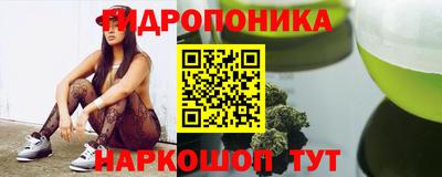 гидропоника Гусь-Хрустальный