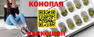 стафф Гусев
