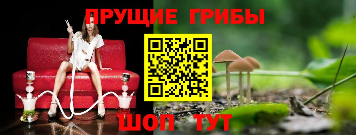 Галлюциногенные грибы мицелий Ипатово